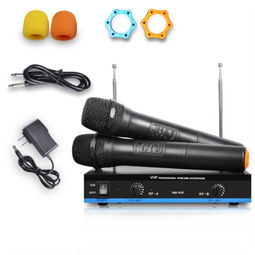 纽曼NM 616 一麦多用，畅享无线K歌与专业扩音新体验