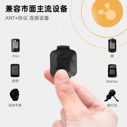 开启旋动的力量 行者新品“小旋风”多媒体产品正式发布